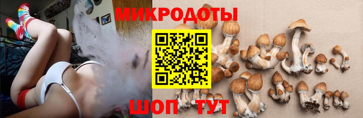 Галлюциногенные грибы мицелий  Псилоцибиновые грибы прущие грибы  Ставрополь  наркотики  Вход с VPN 